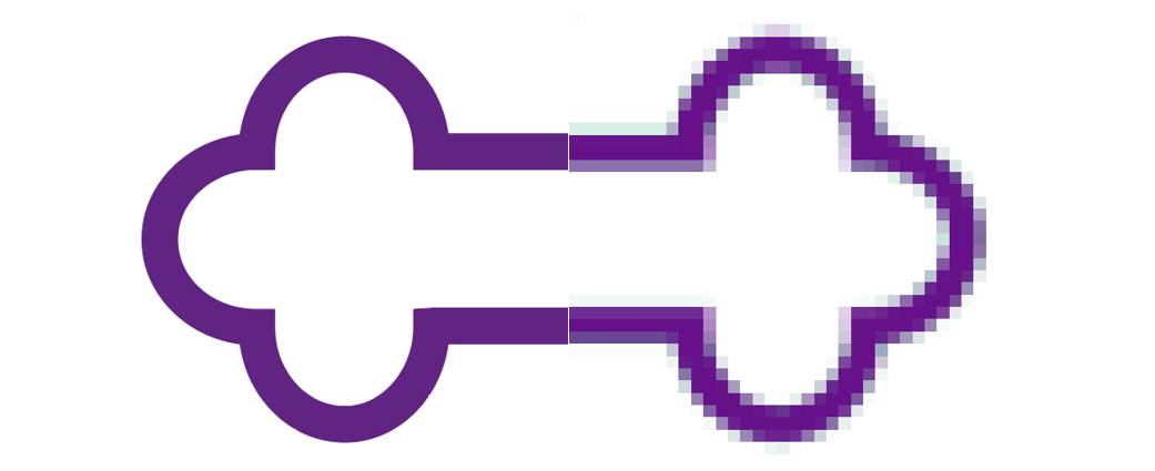 Vektor og pixel